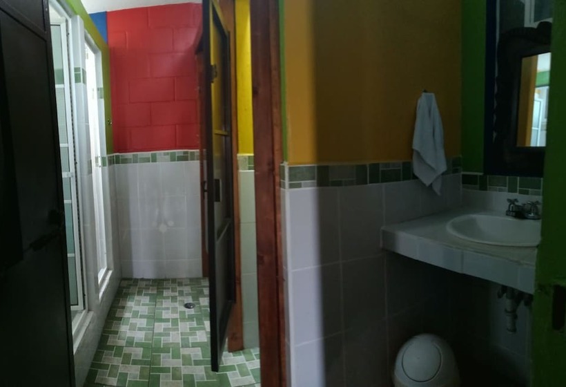 تختخواب در اتاق مشترک, Hostal Guatefriends