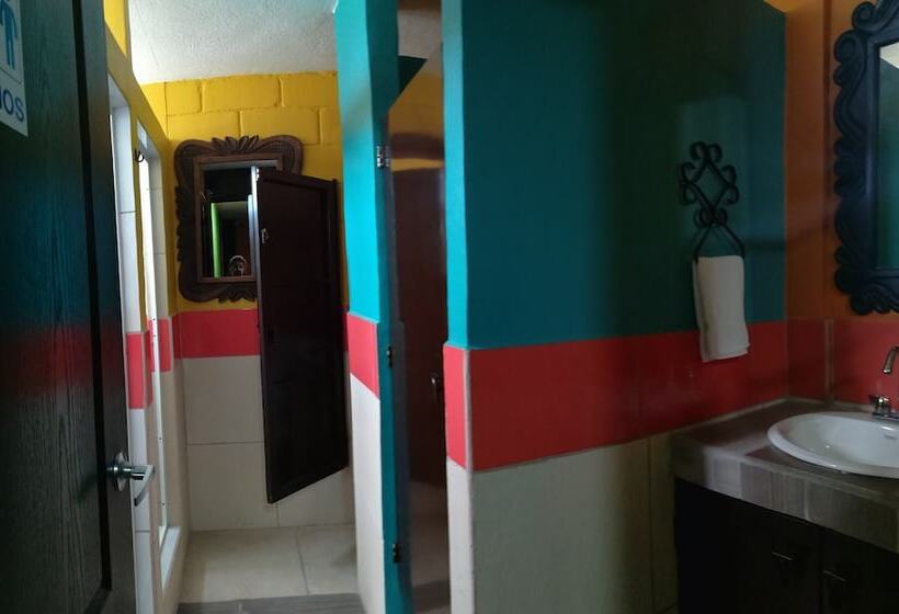 تختخواب در اتاق مشترک, Hostal Guatefriends