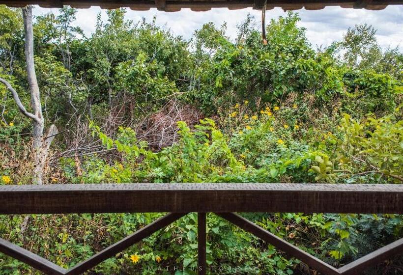 Номер Стандарт с Гидромассажем, Pousada Recanto Da Serra