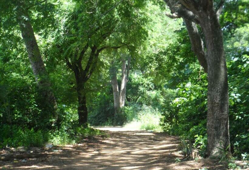 اتاق استاندارد, Victoria Guest House And Cottages