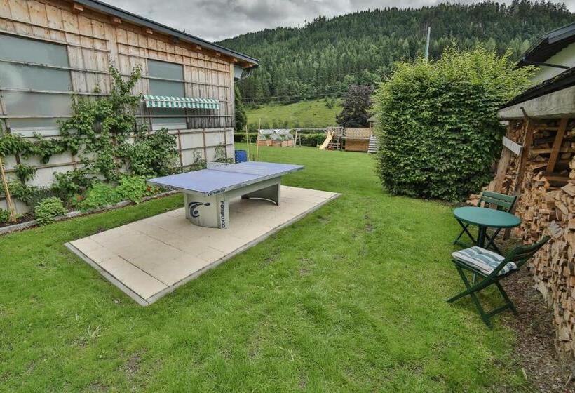 آپارتمان کامفورت 2 خوابه, Aparthotel Steger Wagrain