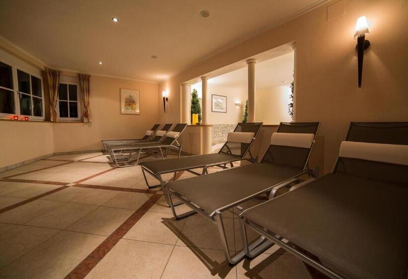 آپارتمان 1 خوابه با چشم‌انداز باغ, Aparthotel Steger Wagrain