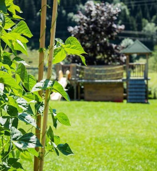 آپارتمان 1 خوابه با تراس, Aparthotel Steger Wagrain