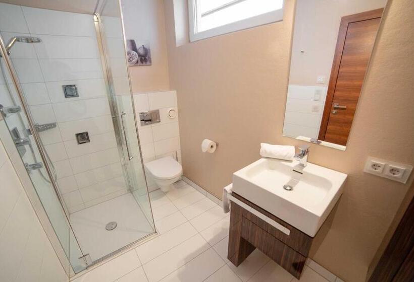 آپارتمان سوپریور 1 خوابه, Aparthotel Steger Wagrain