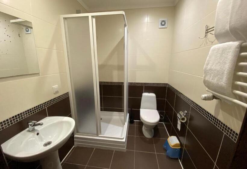 اتاق استاندارد, Sadyba Lisova