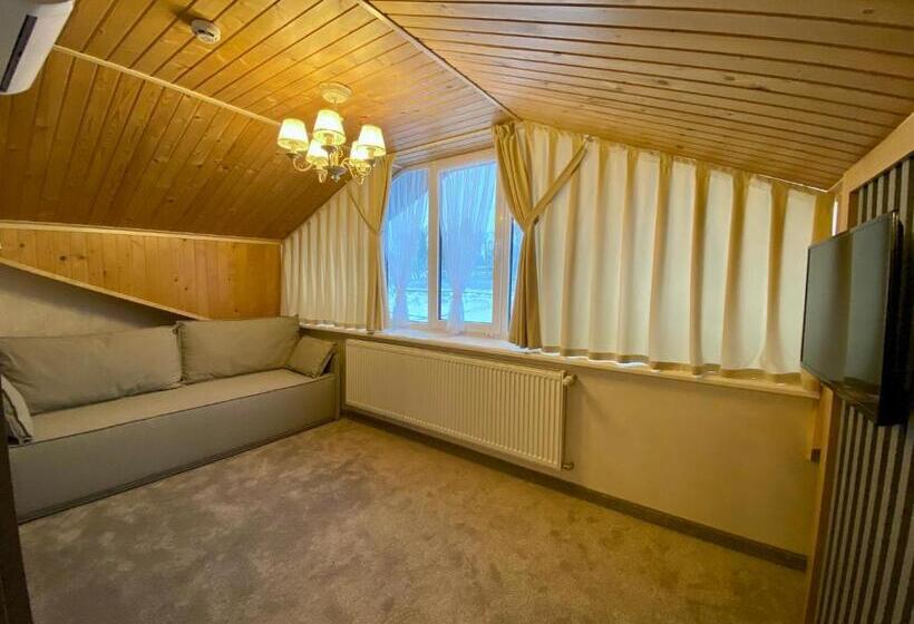 اتاق لوکس خانوادگی, Sadyba Lisova