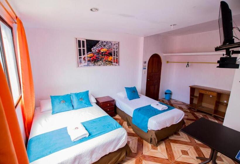 اتاق استاندارد, Hostal Gosén