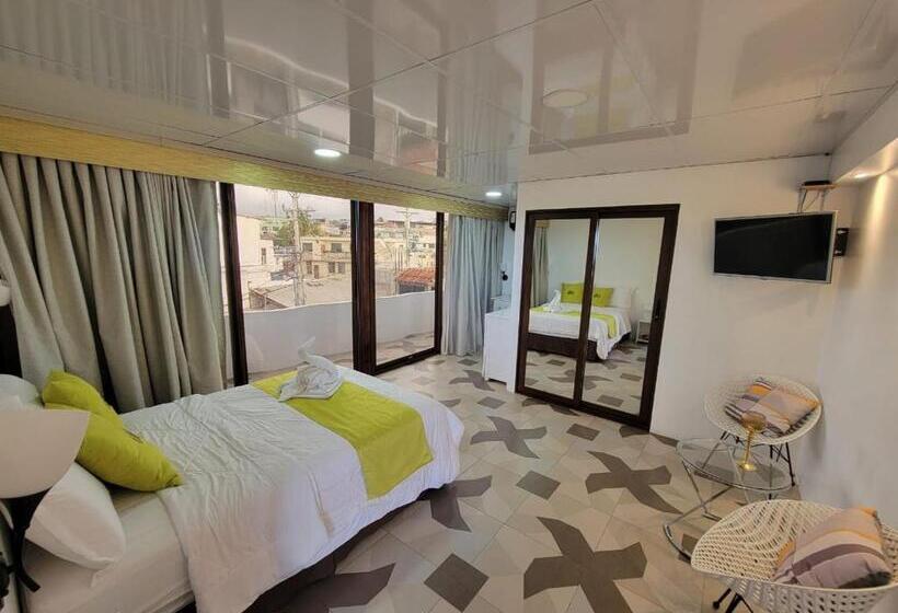 اتاق لوکس, Hostal Gosén