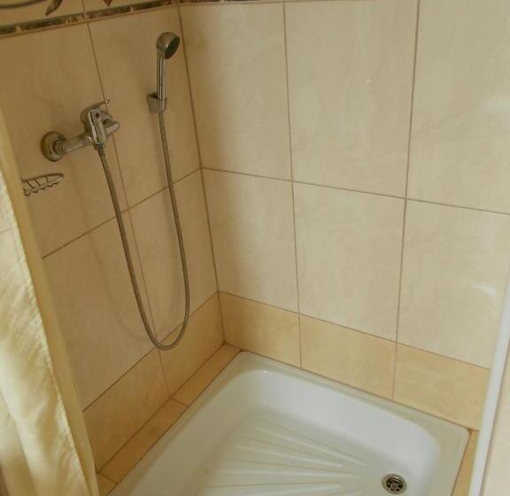 اتاق استاندارد یک نفره, Penzion Rosnicka Liesek