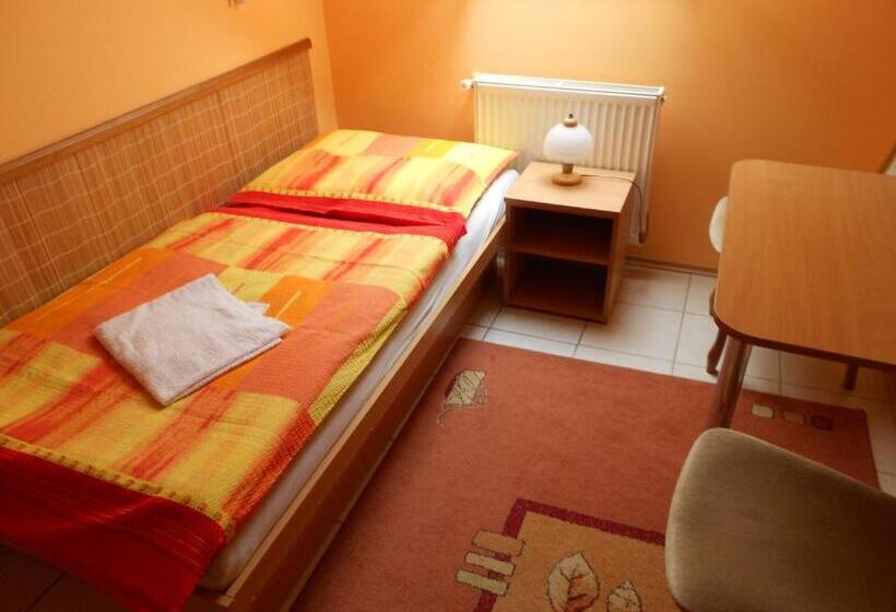 اتاق استاندارد یک نفره, Penzion Rosnicka Liesek