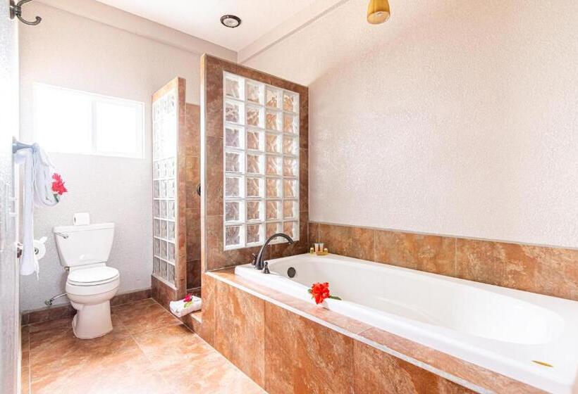 带3个卧室的套间, Lighthouse Beach Villas