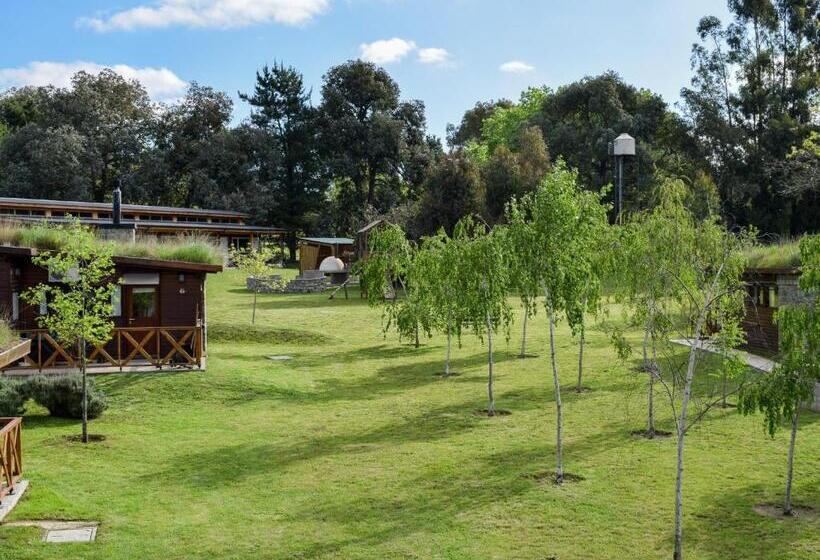 בקתה סטנדרטית, El Montenegrino