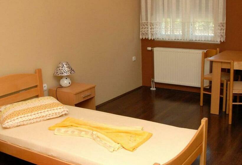 اتاق استاندارد یک نفره, Guest House Vila Bor