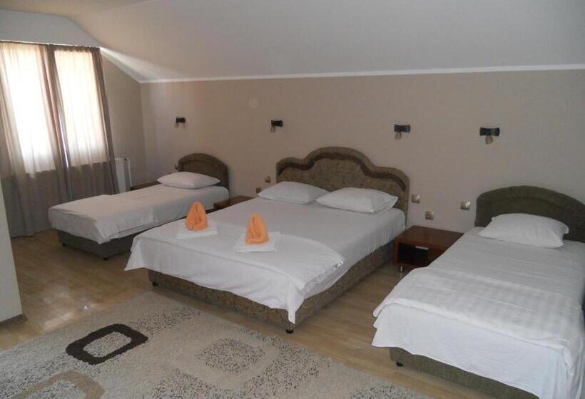 اتاق خانوادگی, Guest House Vila Bor