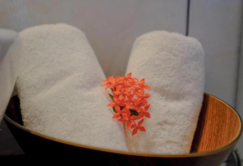 بانگلوی استاندارد, Enjoy