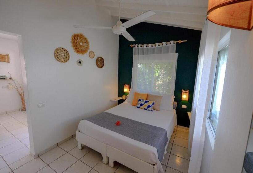 بانگلوی استاندارد, Enjoy