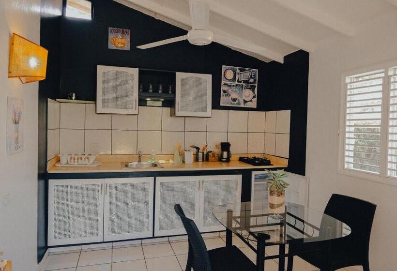 بانگلوی استاندارد, Enjoy