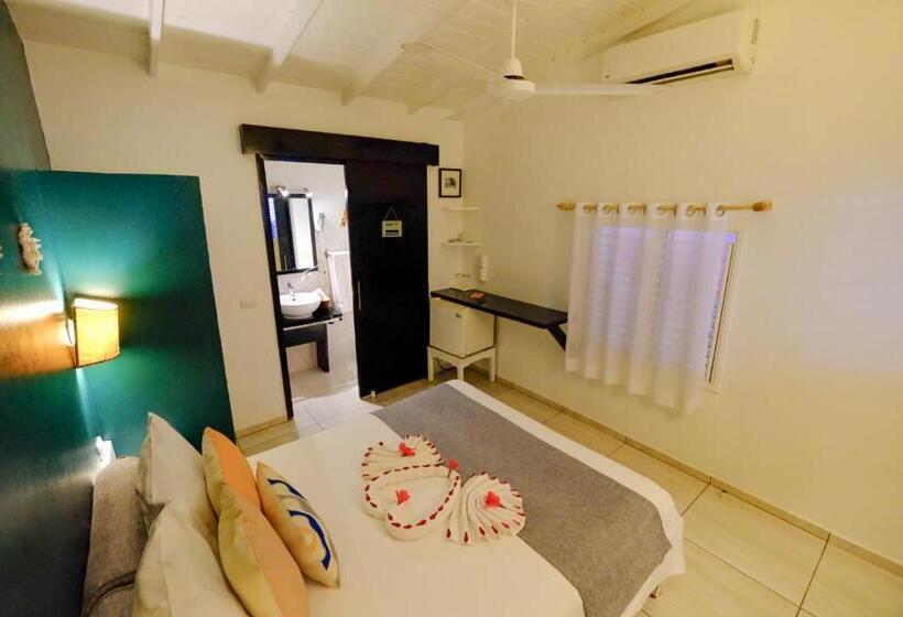 اتاق استاندارد با چشمانداز استخر, Enjoy