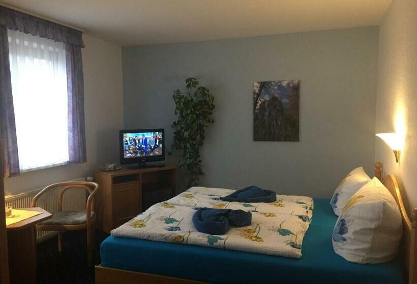 Номер Стандарт, Pension Richter