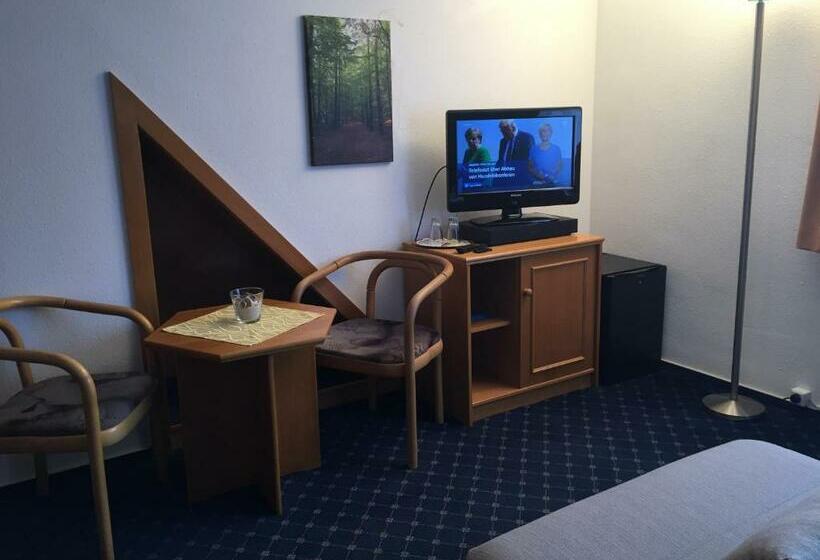 Номер Стандарт, Pension Richter