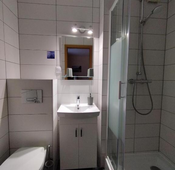 Номер Стандарт Индивидуальный, Pension Richter