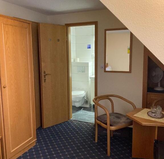 Номер Стандарт, Pension Richter