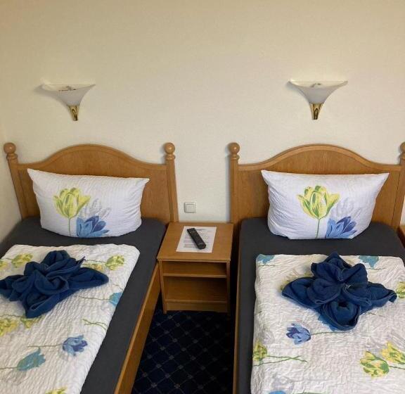 Номер Стандарт, Pension Richter