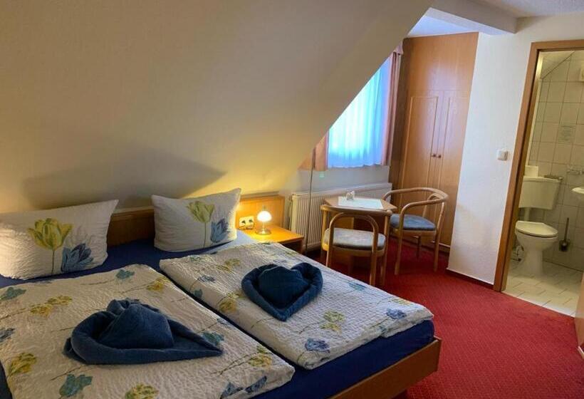 Номер Basic, Pension Richter