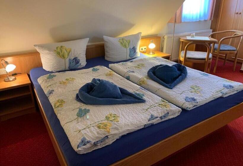 Номер Basic, Pension Richter