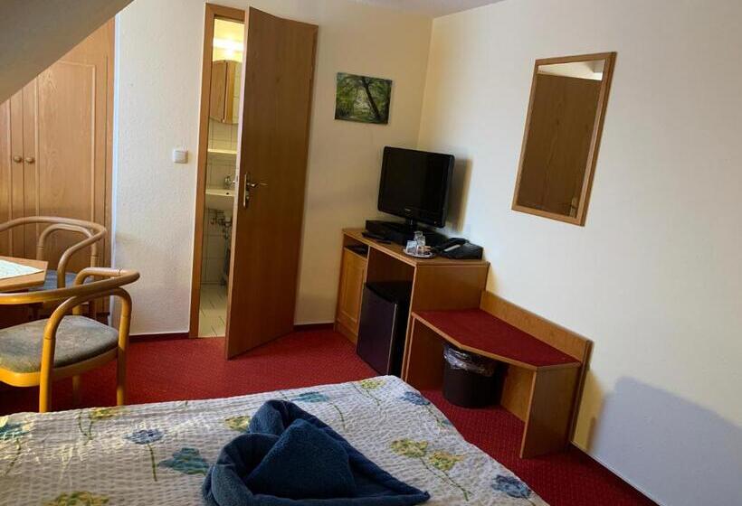 Номер Basic, Pension Richter