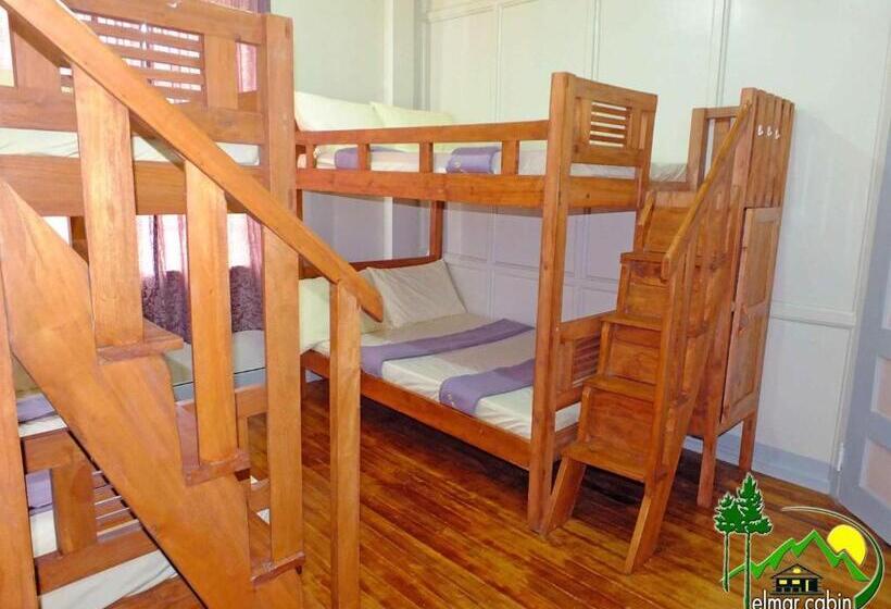 اتاق خانوادگی, Elmar Cabin