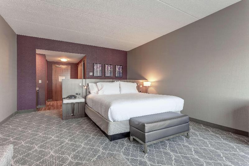اتاق لوکس با تخت بزرگ, Hilton Garden Inn Toronto Brampton West