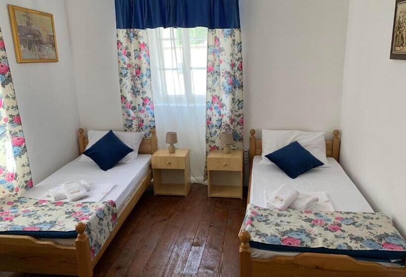 اتاق استاندارد با سرویس بهداشتی مشترک, Viktor Rooms