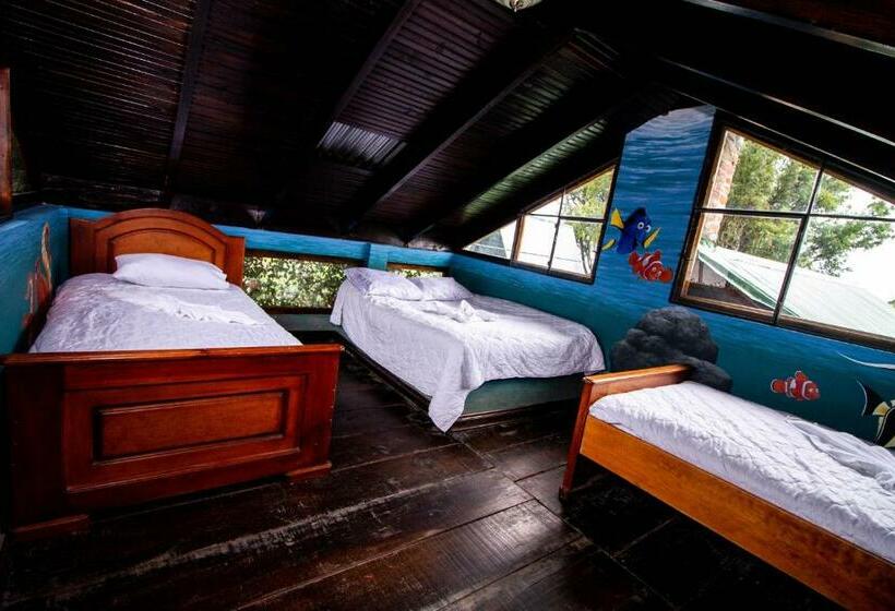 کلبه ییلاقی سوپریور یک خوابه, Ariana