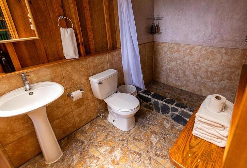 اتاق استاندارد, Earth Lodge