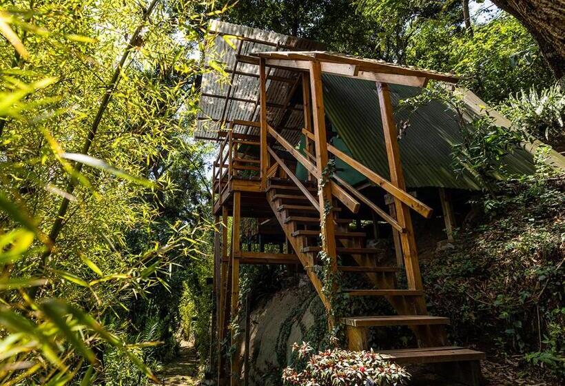 اتاق استاندارد, Earth Lodge