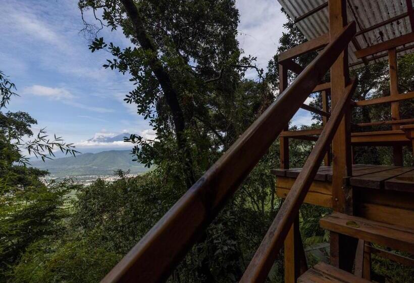 اتاق استاندارد, Earth Lodge