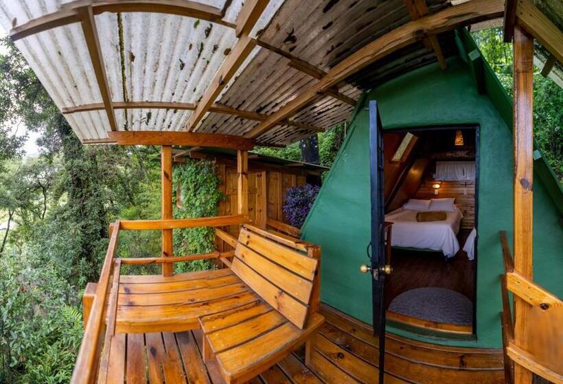 اتاق استاندارد, Earth Lodge