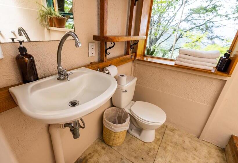 اتاق استاندارد یک نفره, Earth Lodge