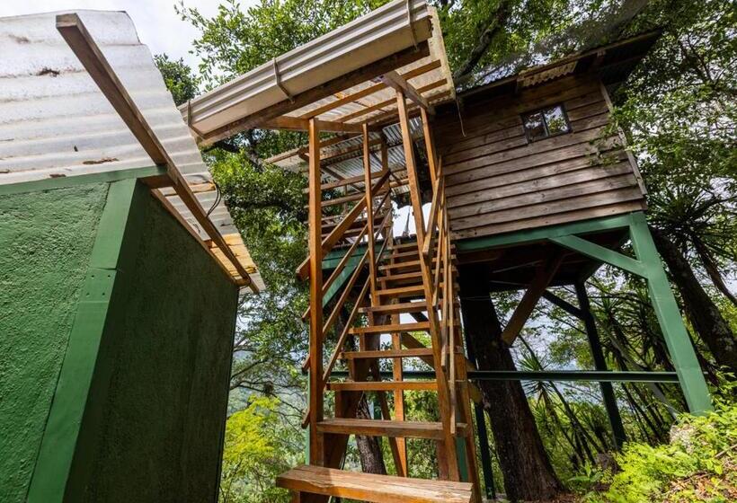 اتاق استاندارد یک نفره, Earth Lodge