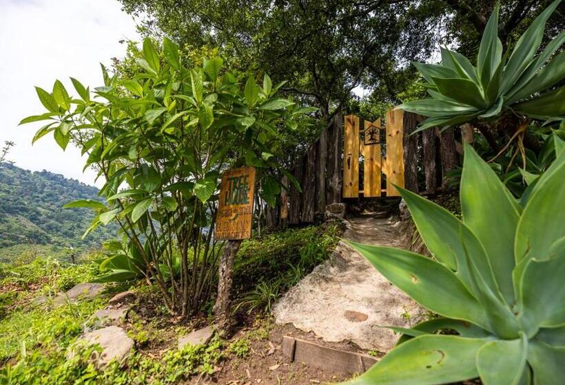 اتاق استاندارد یک نفره, Earth Lodge