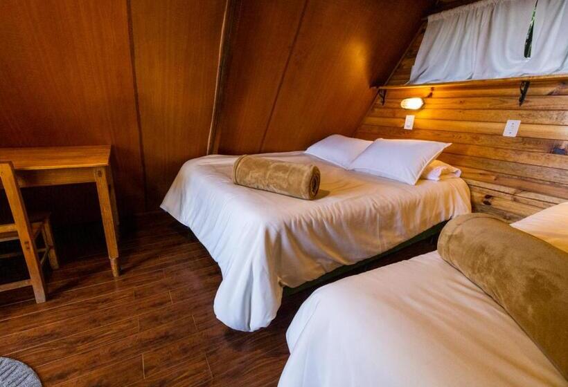 اتاق استاندارد, Earth Lodge