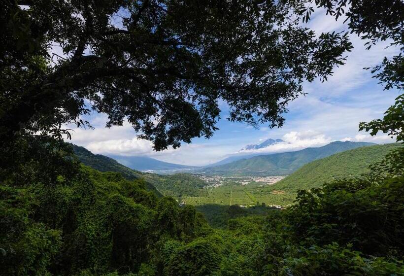 اتاق استاندارد یک نفره, Earth Lodge