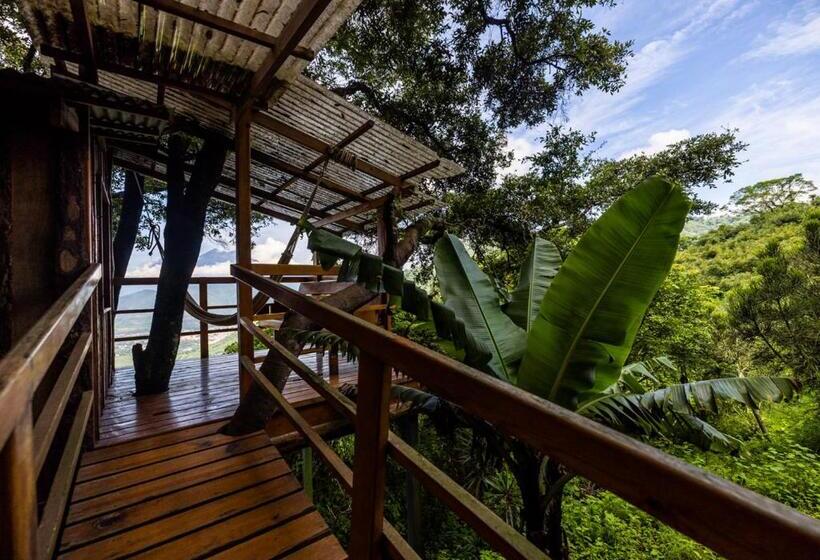 اتاق استاندارد یک نفره, Earth Lodge