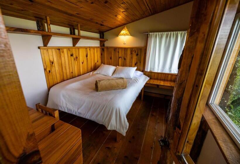 اتاق استاندارد یک نفره, Earth Lodge