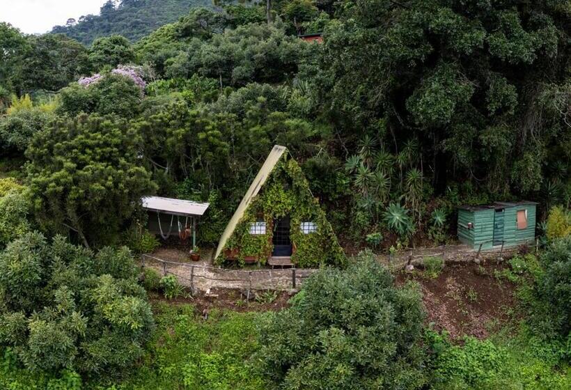 اتاق سهنفرۀ استاندارد با سرویس بهداشتی بیرون از اتاق, Earth Lodge