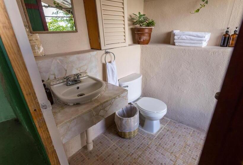 اتاق استاندارد, Earth Lodge