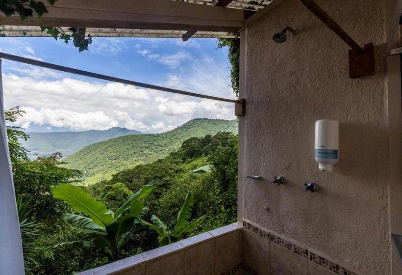 اتاق استاندارد, Earth Lodge