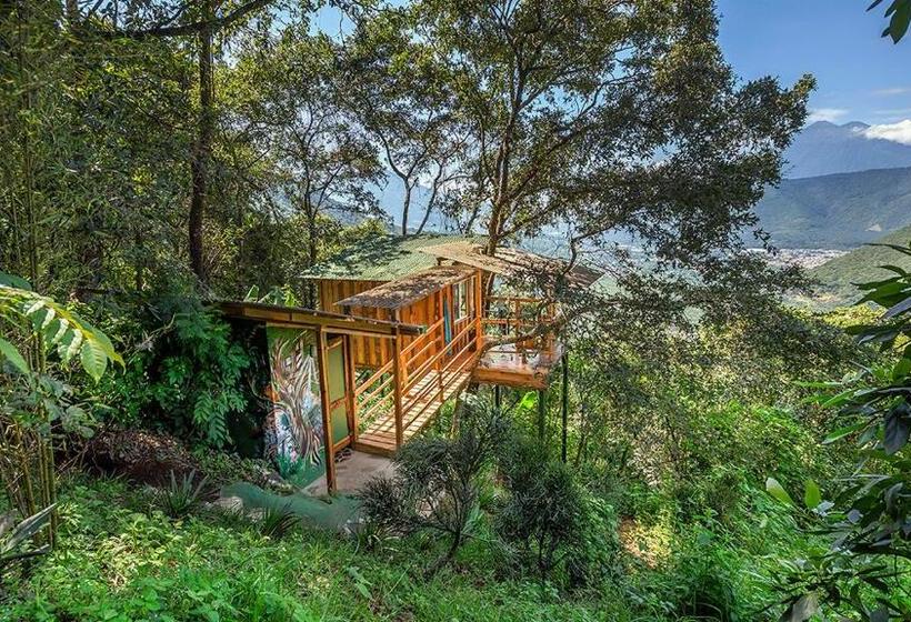 اتاق استاندارد یک نفره, Earth Lodge