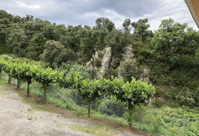 Quarto Estandar, L'albera